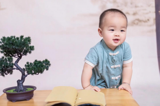 昌乐可爱的企鹅宝宝